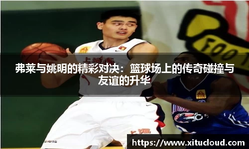 zoty中欧体育