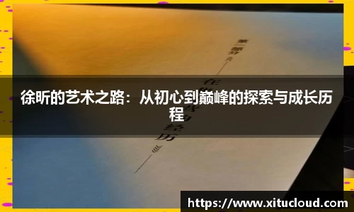 徐昕的艺术之路：从初心到巅峰的探索与成长历程